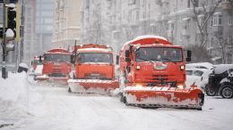 Февраль не пощадит: метеорологи спрогнозировали снегопады с первых дней месяца