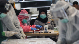 «Нереальная история»: эпидемиолог о том, опасен ли вирус Нипах для России