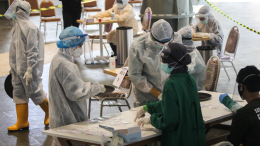 Нипах похож на COVID-19? Академик РАН Горелов о сравнении двух вирусов