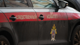 Фигурантке дела о похищении подростка в Красноярске предъявили обвинение