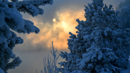 Без шансов на прогноз: причиной пропажи Усольцевых мог стать несчастный случай