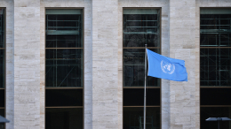 «Это другое»: как ООН показывает миру двойные стандарты в вопросах Гренландии, Крыма и Донбасса