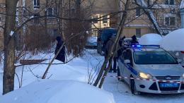 Упавший с карниза дома лед убил женщину в Москве