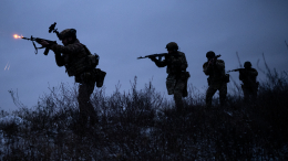 Российские военные освободили Петровку в Запорожской области и Торецкое в ДНР