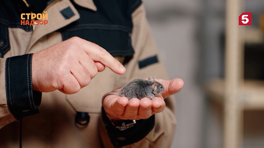 Второй выпуск