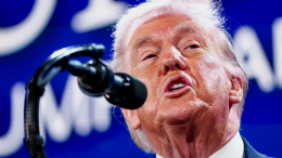 Трамп заявил о начале переговоров по Гренландии