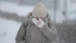 Снег или морозы? Какая погода будет в европейской части России в феврале