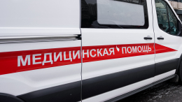 В Ленобласти мать скинула двоих детей с балкона и покончила с собой