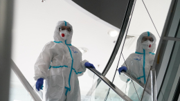 «Привет» от Сейшел: в России выявили завозной случай лихорадки чикунгунья