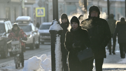Февральские качели: когда в Москве закончится холодная погода