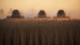 Производство зерна в РФ намерены увеличить до 170 миллионов тонн к 2030 году