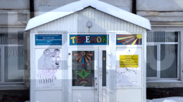 Власти наградят защитившую детей от нападения воспитательницу детсада