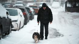 Морозы не отступают: синоптики дали прогноз на февраль