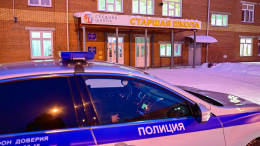 Суд арестовал девочку, напавшую с ножом на одноклассниц в Красноярском крае