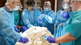 В Петербурге раскрыли схему продажи органов умерших — что известно к этому часу