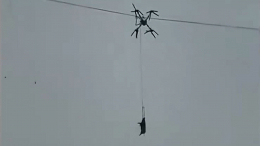 По мотивам «Мимино»: в Китае фермер обесточил всю деревню из-за перевозки свиньи на дроне