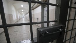 Суд в Петербурге арестовал фигурантов дела о торговле органами умерших