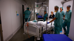 Четыре человека насмерть отравились бледными поганками в Калифорнии