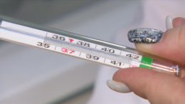 Яд на полке: почему в России некуда сдать ртутный градусник