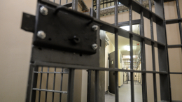 Экс-супруга бизнесмена Александра Галицкого покончила с собой в ИВС Истры