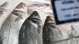 Названы самые доступные виды рыбы в российских магазинах