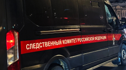 В деле убийцы 9-летнего ребенка в Петербурге появились новые жертвы