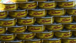 Особенно полезен для детей: какой рыбный продукт является суперфудом