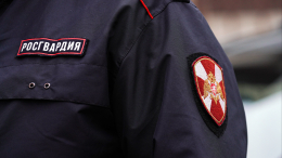 Путин утвердил положение о Главном штабе Росгвардии