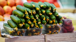 «Технология продаж»: почему огурцы догнали по цене мясные деликатесы