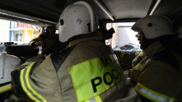 Разгильдяйство и геройство: как спасали повисшего на проводах дворника в Петербурге