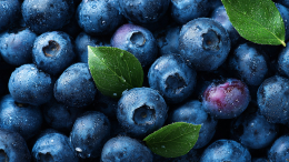 Ягода для ума и сердца: чем полезна черника