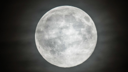 Космическая праща: Илон Маск построит гигантскую катапульту на Луне