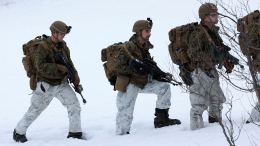 Посольство РФ в Дании: Россия примет меры в ответ на операцию НАТО Arctic Sentry