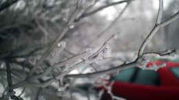 Ледяные дожди накроют Москву к концу недели