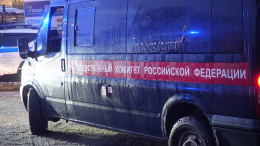 Пропавшие в Петербурге дочери и мать вышли на связь