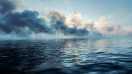 Пожар вспыхнул на судне Arina с 30 россиянами на борту у берегов Японии