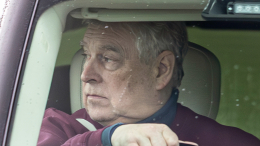 Медвежий переезд: принцу Эндрю не хватило места для игрушек в новом доме