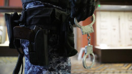 Виновато состояние души: в Москве задержали подозреваемую в краже картины