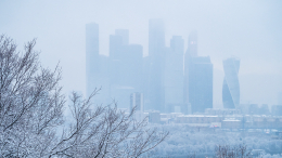 Москвичей предупредили о густом тумане