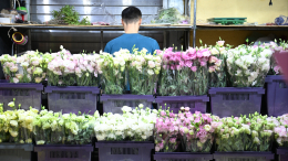 «Маме и девушке»: жители Москвы оценили стоимость букетов на Рижском рынке в День всех влюбленных