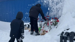 «Бегали люди и раскапывали»: жительница Югры рассказала подробности трагедии