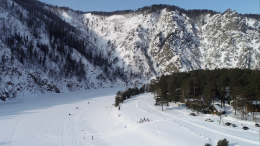 Корги в дикой природе: почему собака не вывела пропавшую семью Усольцевых из тайги