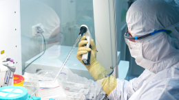 Роспотребнадзор сообщил о сохранении рисков завоза оспы обезьян в турсезон