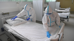 Из Домодедовской больницы выписали первого пациента с оспой обезьян