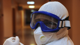 Сувенир из Таиланда: в Петербурге у мужчины обнаружили обезьянью оспу