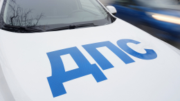 «Надеялся, что не заметят»: водитель BMW, перевозивший наркотики, сбил сотрудника ДПС в Ленобласти