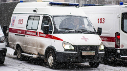 Крики о помощи и дым из окон: при пожаре на севере Москвы пострадали девять человек