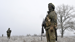 ВС РФ освободили Миньковку в ДНР и Покровку в Сумской области