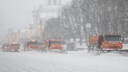 Снежный ад: на Центральную Россию обрушился обильный снегопад