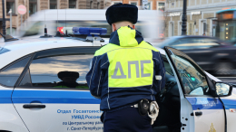 Поймать автохамов: как работает чат-бот ГАИ в Санкт-Петербурге